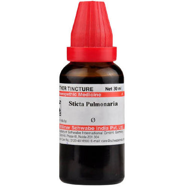https://cdn.shopify.com/s/files/1/1857/6931/products/rFjtwZlJA1.jpg?v=1637908265